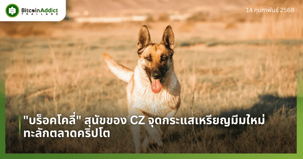 “บร็อคโคลี่” สุนัขของ CZ จุดกระแสเหรียญมีมใหม่ทะลักตลาดคริปโต