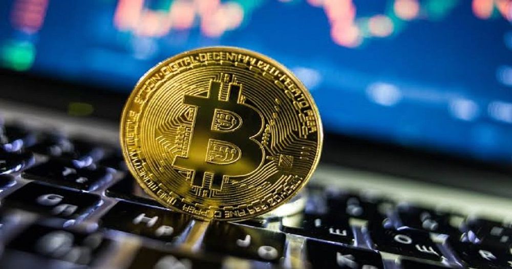 ผลตอบแทนของ Bitcoin นั้นเหมือนกับ "สัตว์ร้าย" เมื่อเทียบกับ Amazon