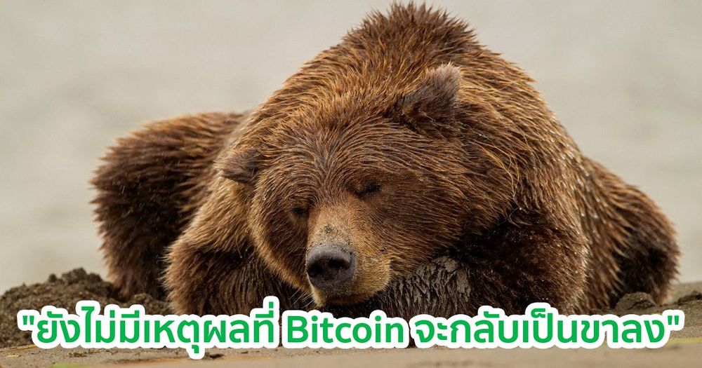 นักเทรดมองว่า "ยังไม่มีเหตุผลมากมายพอที่จะทำให้ Bitcoin กลับเป็นขาลง"