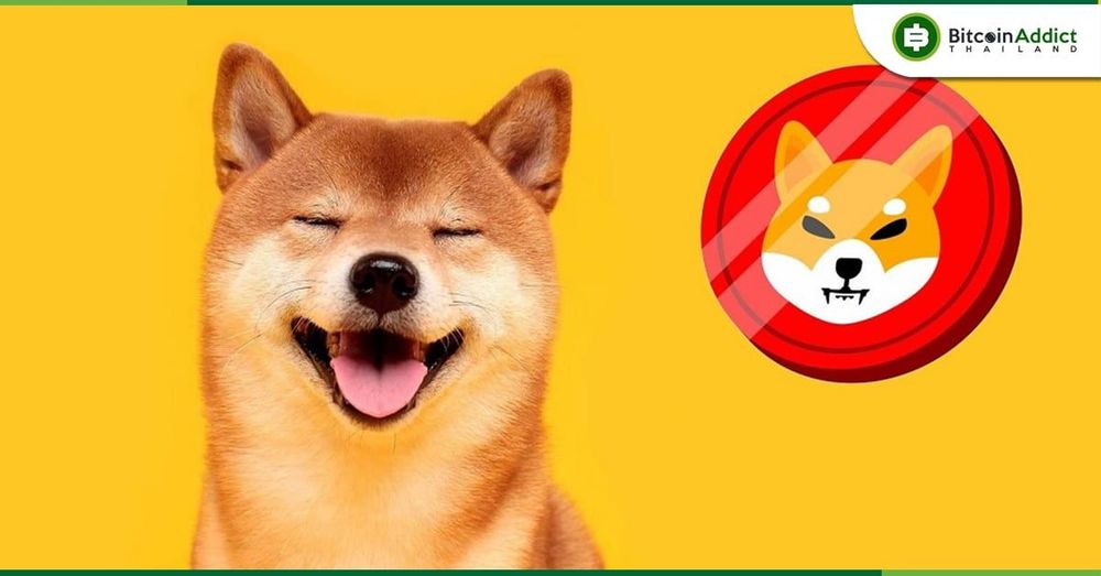 Shiba Inu เตรียมปล่อย Guide Book เกม Shiba Eternity ในการอัปเกรดครั้งต่อไป