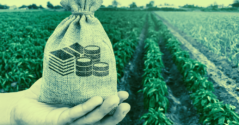 "Yield Farming" กำลังได้รับความนิยมมากกว่ากิจกรรมอื่น ๆ ใน Ethereum : ผู้ร่วมก่อตั้ง CoinGecko กล่าว