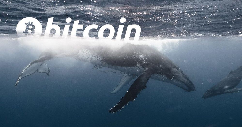 จำนวนของวาฬ Bitcoin กำลังลดลง - และอาจเป็นตัวบ่งชี้ตลาดกระทิงที่ดีที่สุด