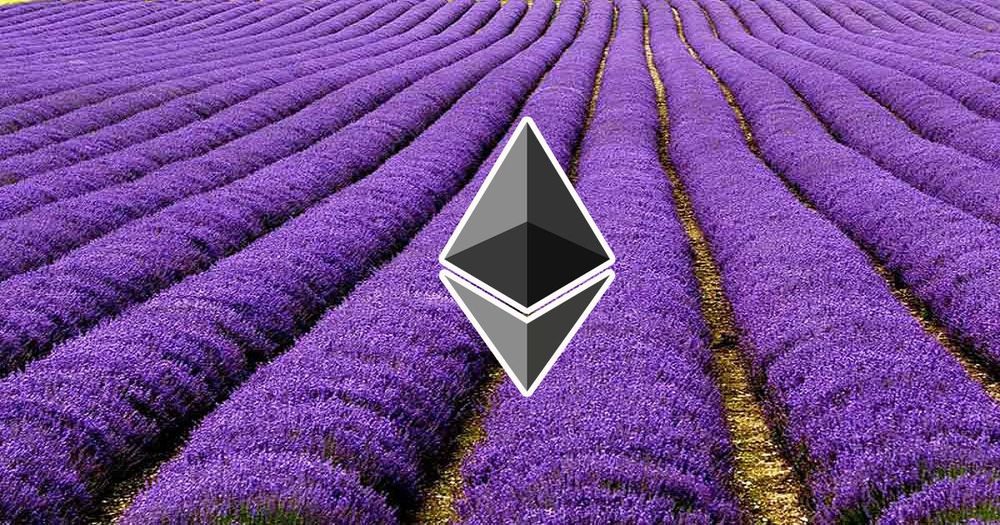 ทุ่งลาเวนเดอร์กำลังจะกลับมา? การขุด Ethereum ด้วย RTX 2070 มีกำไรถึง 9$ แล้วในปัจจุบัน