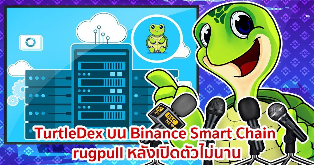 โครงการ "TurtleDex" ของ Binance Smart Chain ปิดตัวหนีทันทีหลังจากเปิดตัวได้ไม่นาน
