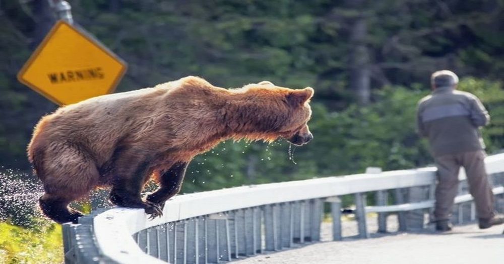 วันแห่งการนองเลือด!! กระทิงบน BitMEX ถูกเชือดไปถึง 150 ล้านดอลลาร์ หลังจากราคา BTC ร่วงเละไปถึง $8,600