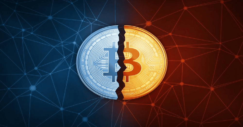 "อย่าคาดหวังว่าราคา Bitcoin จะกลับมาหลังจาก halving" Willy Woo นักวิเคราะห์ Crypto เตือน