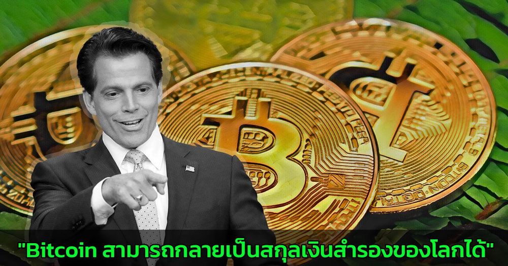"Bitcoin สามารถกลายเป็นสกุลเงินสำรองของโลกได้" Anthony Scaramucci แห่ง SkyBridge Capital กล่าว