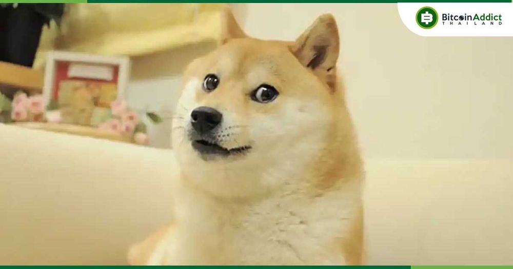 นักลงทุนจับตา! Bitwise ยื่นจดทะเบียนกองทุน Dogecoin ETF อย่างเป็นทางการ
