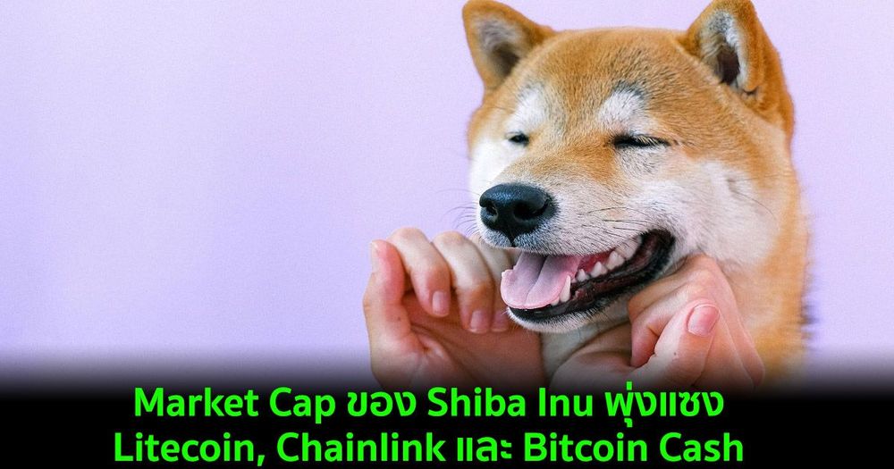 Market Cap ของ Shiba Inu พุ่งแซงหน้า Litecoin, Chainlink และ Bitcoin Cash