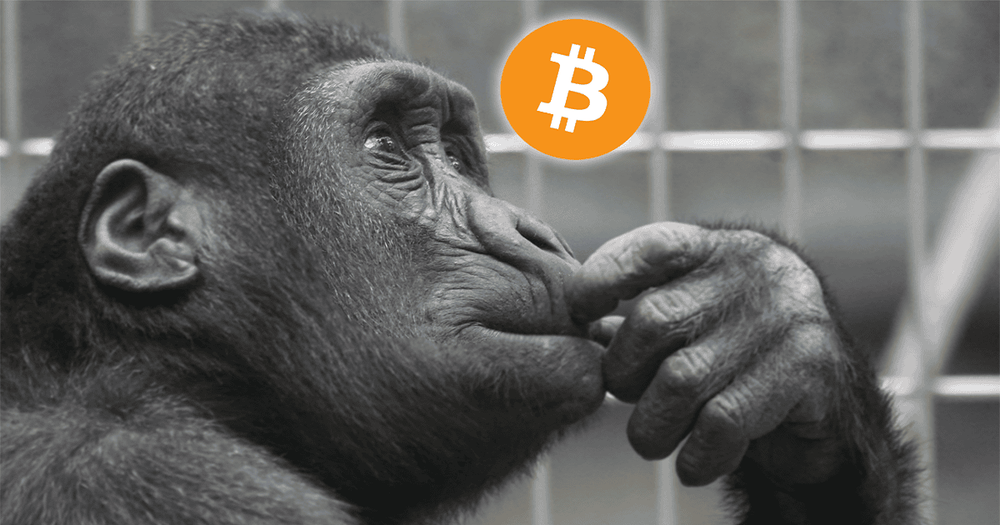 เกือบ 65% จากคน 12,000 คน คิดว่า ราคา Bitcoin ยังต่ำเกินไป