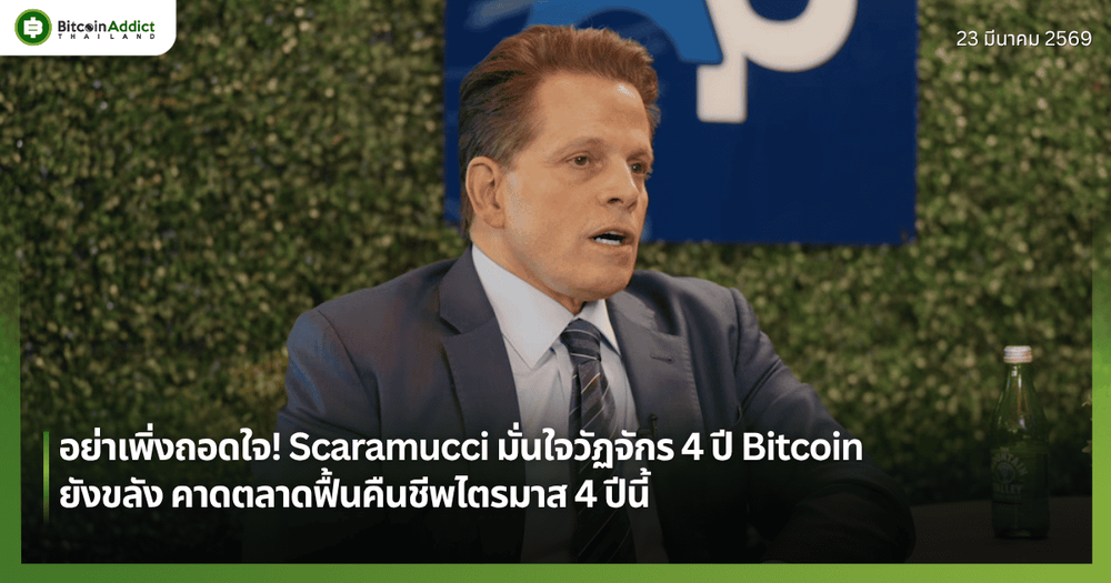 อย่าเพิ่งถอดใจ! Scaramucci มั่นใจวัฏจักร 4 ปี Bitcoin ยังขลัง คาดตลาดฟื้นคืนชีพไตรมาส 4 ปีนี้
