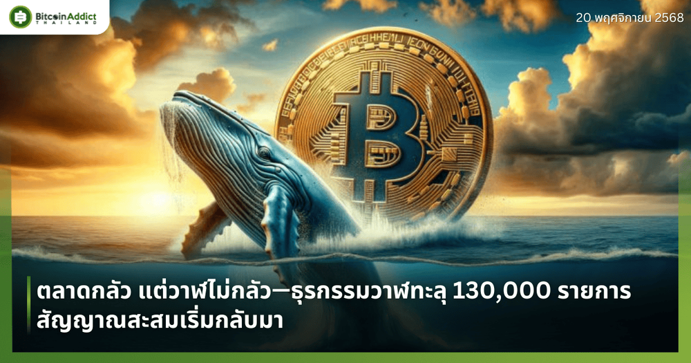 ตลาดกลัว แต่วาฬไม่กลัว—ธุรกรรมวาฬทะลุ 130,000 รายการ สัญญาณสะสมเริ่มกลับมา