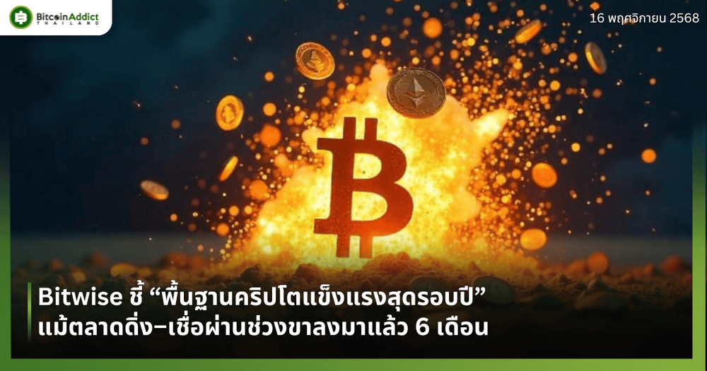 Bitwise ชี้ “พื้นฐานคริปโตแข็งแรงสุดรอบปี” แม้ตลาดดิ่ง–เชื่อผ่านช่วงขาลงมาแล้ว 6 เดือน