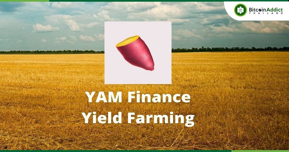 ผู้ถือโทเค็น DeFi "Yam Finance" เสนอให้ปิดโครงการ และแจกจ่ายเงินในคลังให้กับผู้ถือโทเค็น