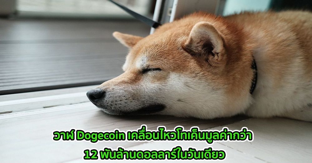 วาฬ Dogecoin เคลื่อนไหวโทเค็นมูลค่ากว่า 12 พันล้านดอลลาร์ในวันเดียว - สองเท่าของ Ether