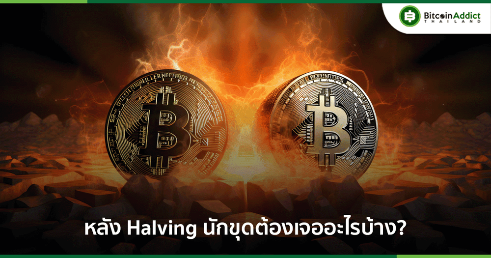 หลัง Bitcoin Halving นักขุดต้องเจอความท้าทาย และต้องปรับตัวอะไรบ้าง?