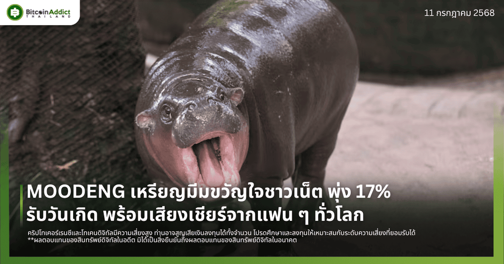 MOODENG เหรียญมีมขวัญใจชาวเน็ต พุ่ง 17% รับวันเกิด พร้อมเสียงเชียร์จากแฟน ๆ ทั่วโลก