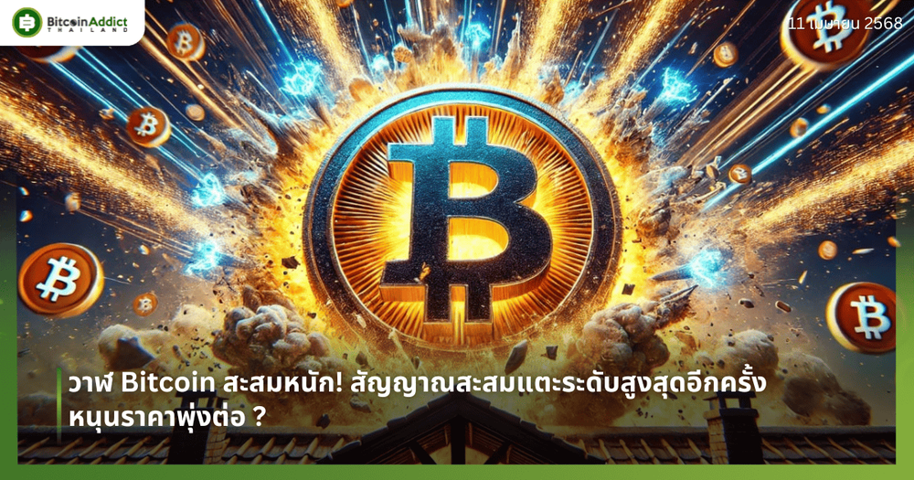 วาฬ Bitcoin สะสมหนัก! สัญญาณสะสมแตะระดับสูงสุดอีกครั้ง หนุนราคาพุ่งต่อ?
