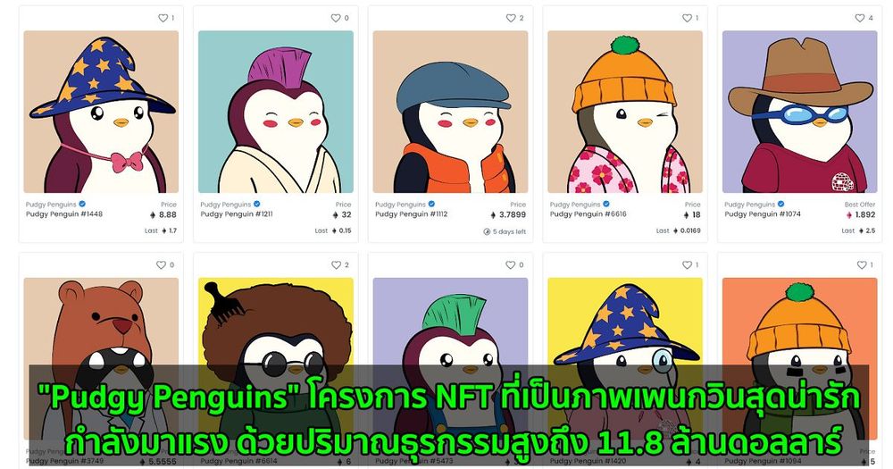 "Pudgy Penguins" โครงการ NFT ที่่เป็นภาพเพนกวินสุดน่ารัก กำลังมาแรง ด้วยปริมาณธุรกรรมสูงถึง 11.8 ล้านดอลลาร์