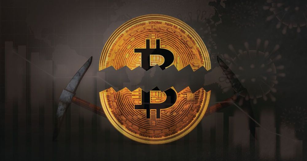Halving จะส่งผลกระทบต่อพฤติกรรมการเทรด Bitcoin ของนักลงทุนรายย่อยและเหล่าวาฬอย่างไร?