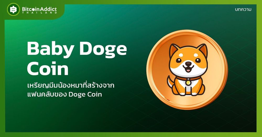 Baby Doge เหรียญมีมน้องหมาที่สร้างจากแฟนคลับของ Doge Coin