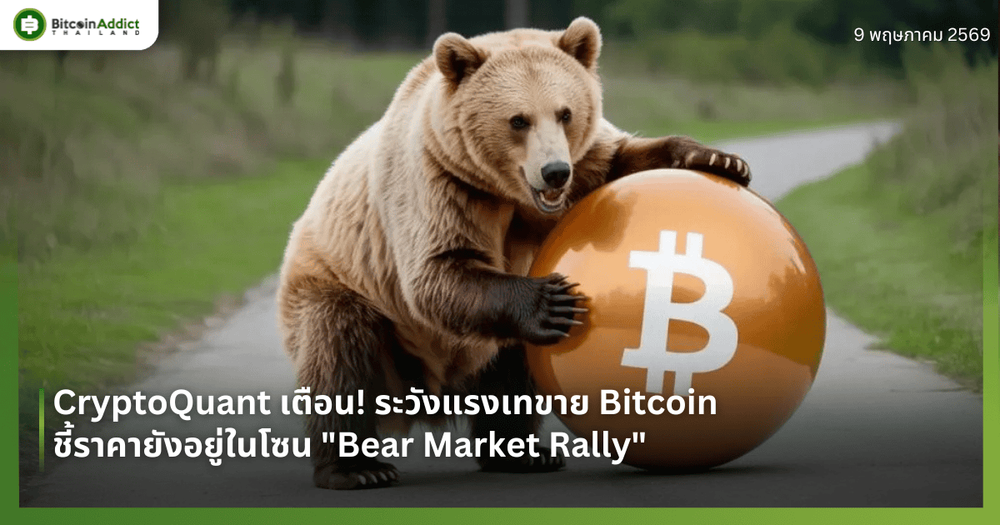 CryptoQuant เตือน! ระวังแรงเทขาย Bitcoin ชี้ราคายังอยู่ในโซน "Bear Market Rally"