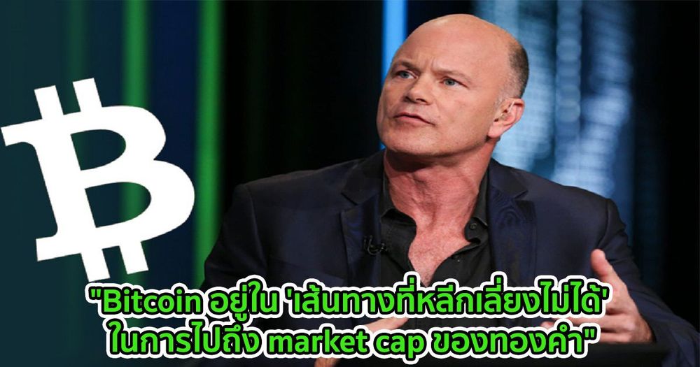 "Bitcoin อยู่ใน 'เส้นทางที่หลีกเลี่ยงไม่ได้' ในการไปถึง market cap ของทองคำ" - Mike Novogratz กล่าว