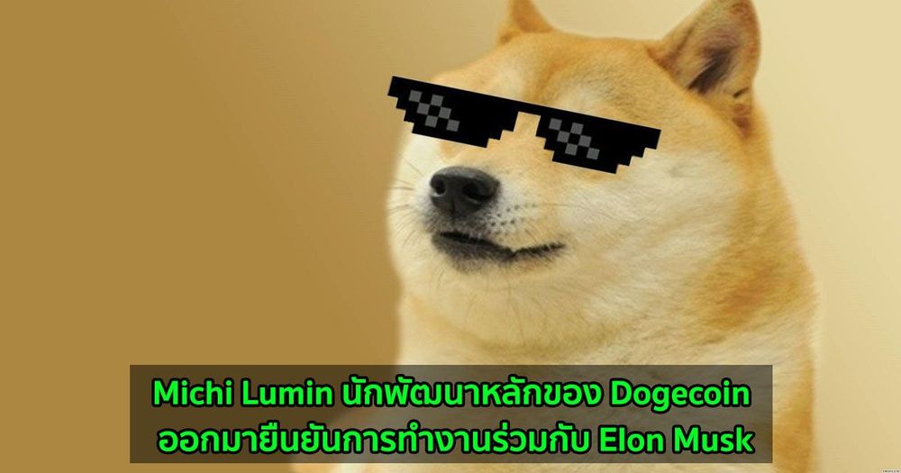 Michi Lumin นักพัฒนาหลักของ Dogecoin ออกมายืนยันการทำงานร่วมกับ Elon Musk
