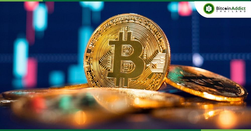 นักลงทุนหน้าใหม่กว่า 500 ล้านคน อาจซื้อ Crypto ภายในปี 2030 : นักวิเคราะห์คาด