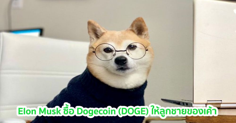 Elon Musk ซื้อ Dogecoin (DOGE) ให้ลูกชายวัย 9 เดือนของเค้า