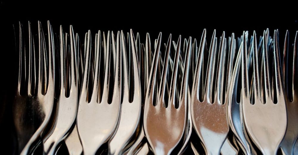 Cardano เตรียม Hard Fork ในเดือนธันวาคม สำหรับการอัพเกรด Goguen