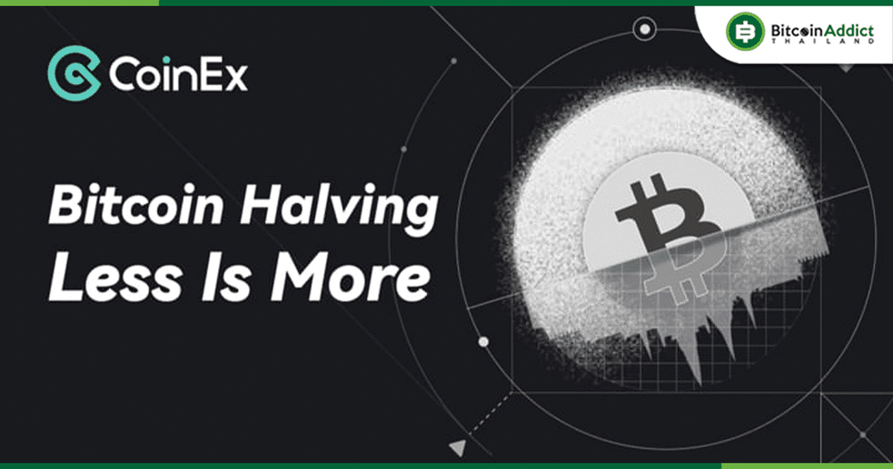 รู้จักกับ Bitcoin Halving พร้อมเจาะลึกข้อมูลคริปโตฯ และการเปลี่ยนแปลงการเงินทั่วโลก