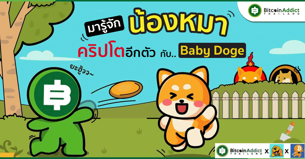 รู้จักกับ Baby Doge เหรียญมีมน้องหมาเพื่อการกุศล ลูกรักของ Elon Mask