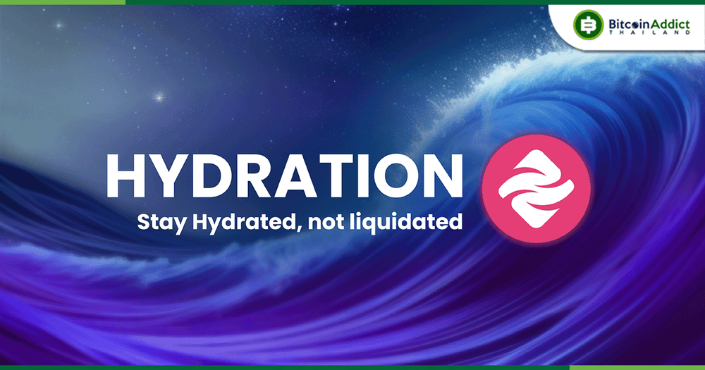 รู้จักกับ Hydration แพลตฟอร์มที่ครบที่สุดของ Polkadot Ecosystem