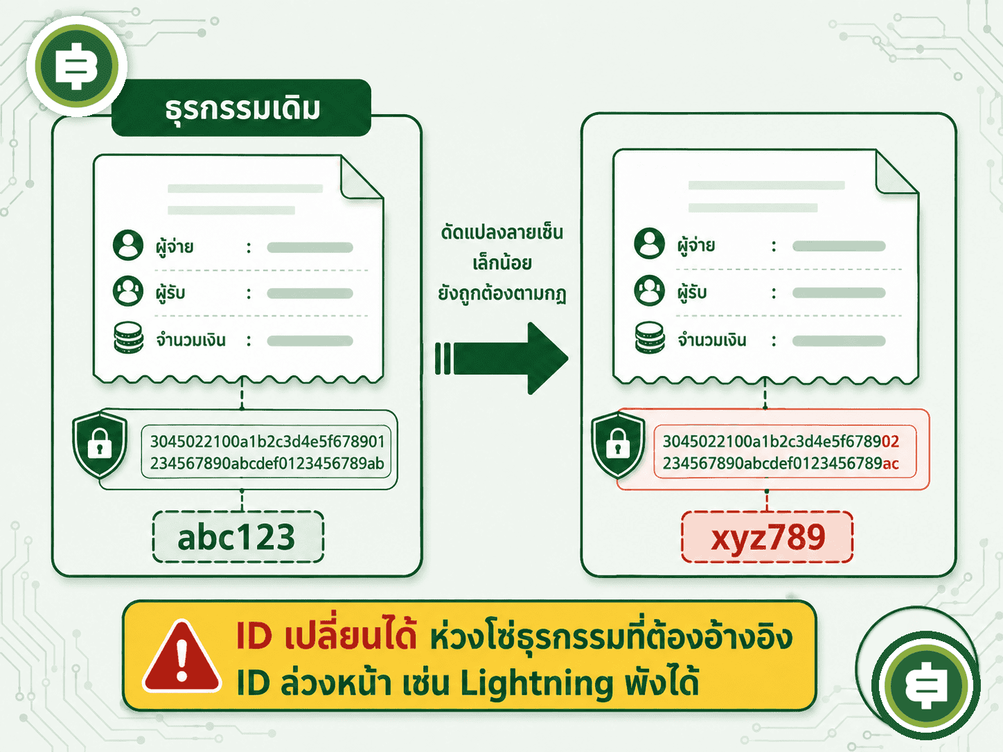 อธิบายปัญหา transaction malleability ว่าการดัดแปลงลายเซ็นเล็กน้อยโดยที่ยังถูกต้องตามกฎสามารถเปลี่ยน ID ธุรกรรมได้ทั้งที่ผู้จ่าย ผู้รับ และจำนวนเงินไม่เปลี่ยนเลย ซึ่งเป็นช่องโหว่ที่ทำลายห่วงโซ่ธุรกรรมแบบ Lightning Network