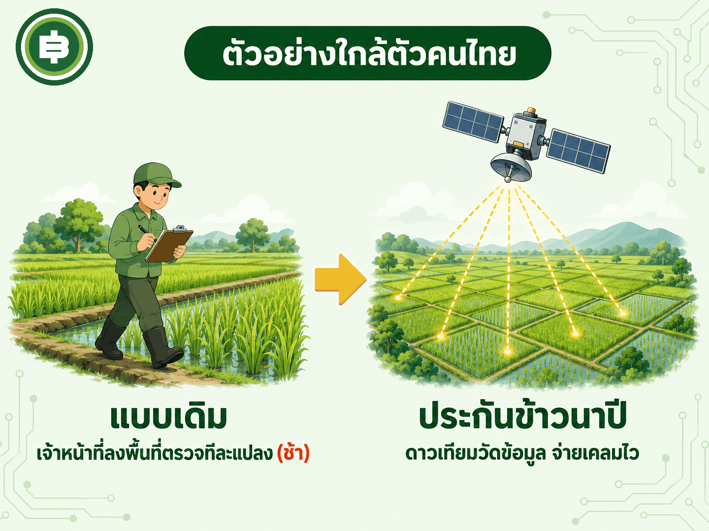 เทียบการประเมินความเสียหายนาข้าวแบบเดิมที่ต้องรอเจ้าหน้าที่ลงพื้นที่ กับระบบดาวเทียมที่จ่ายเคลมได้เร็วกว่า
