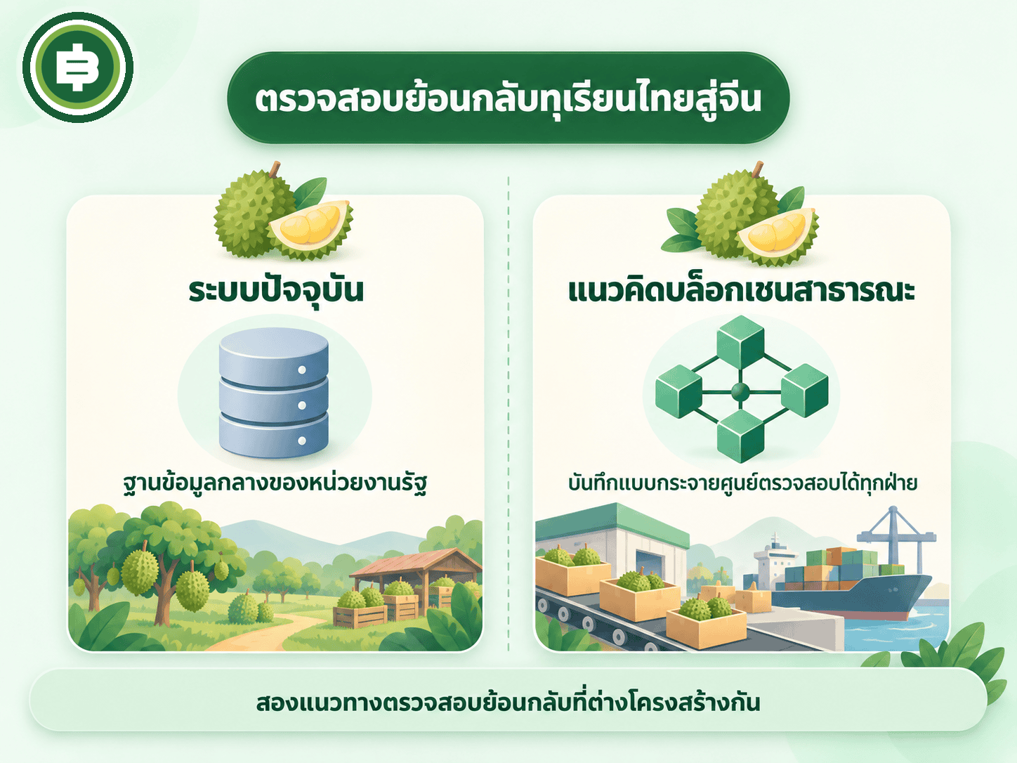 เทียบระบบตรวจสอบย้อนกลับทุเรียนไทยสู่จีน: ฐานข้อมูลกลางภาครัฐ vs แนวคิดบล็อกเชนสาธารณะ