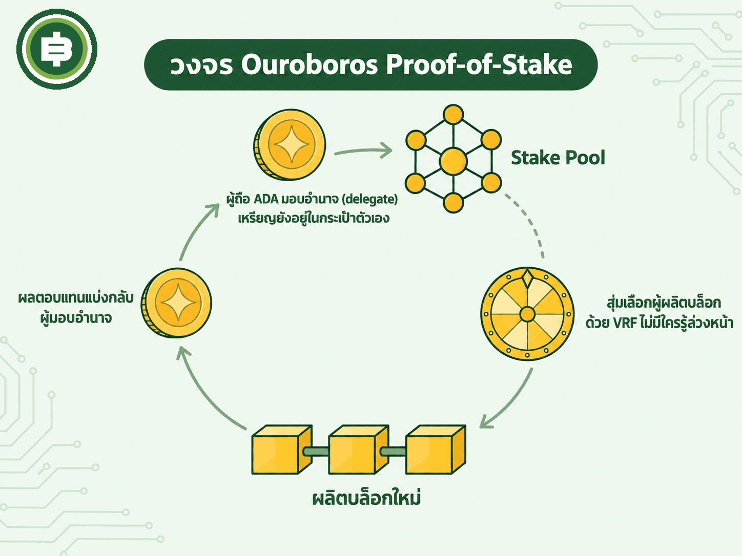วงจรกลไก Ouroboros มอบอำนาจให้ stake pool สุ่มเลือกด้วย VRF ผลิตบล็อกใหม่ แบ่งผลตอบแทนกลับผู้มอบอำนาจ