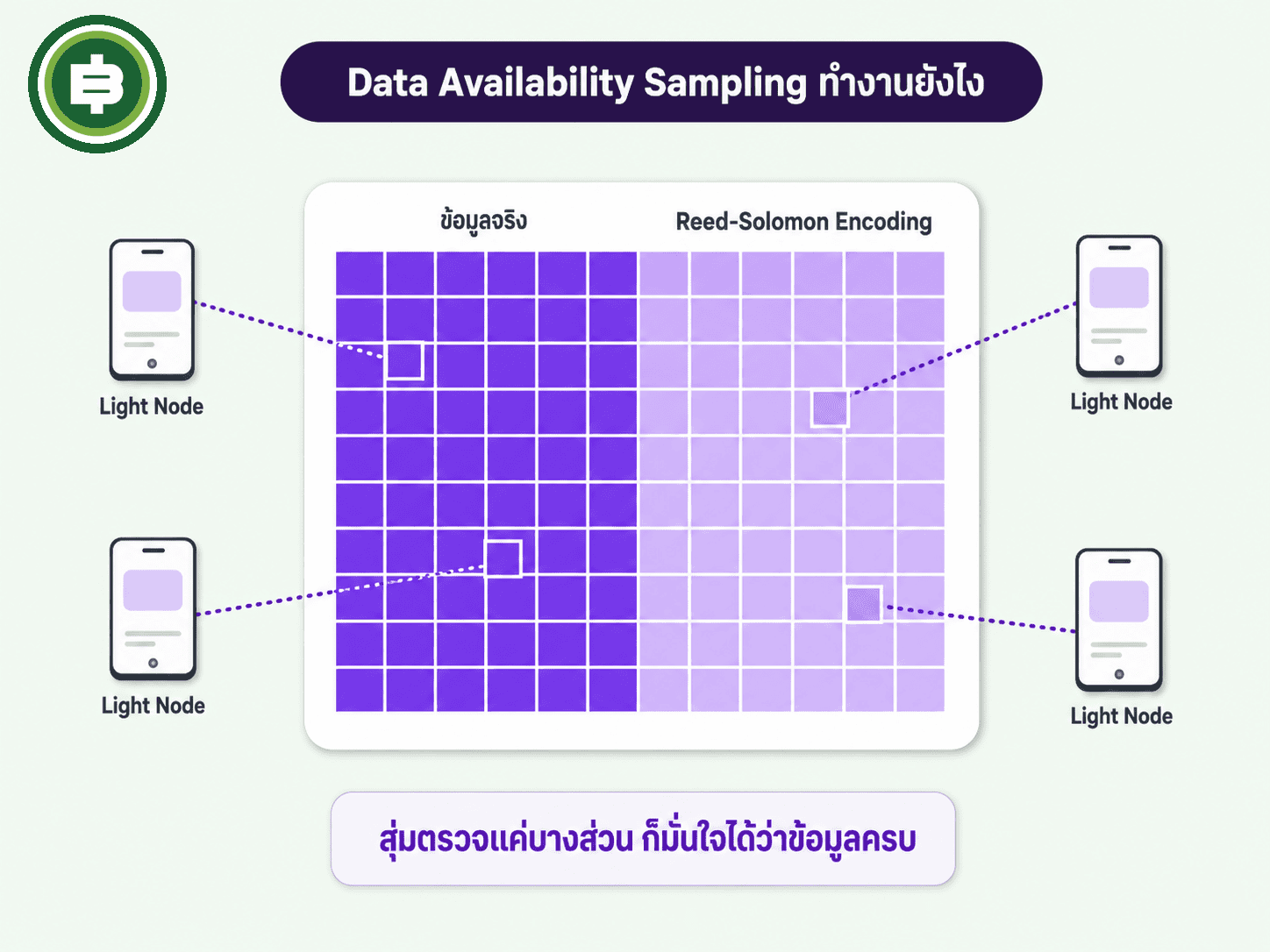 อธิบายกลไก Data Availability Sampling ของ Celestia ด้วย 2D Reed-Solomon Erasure Coding